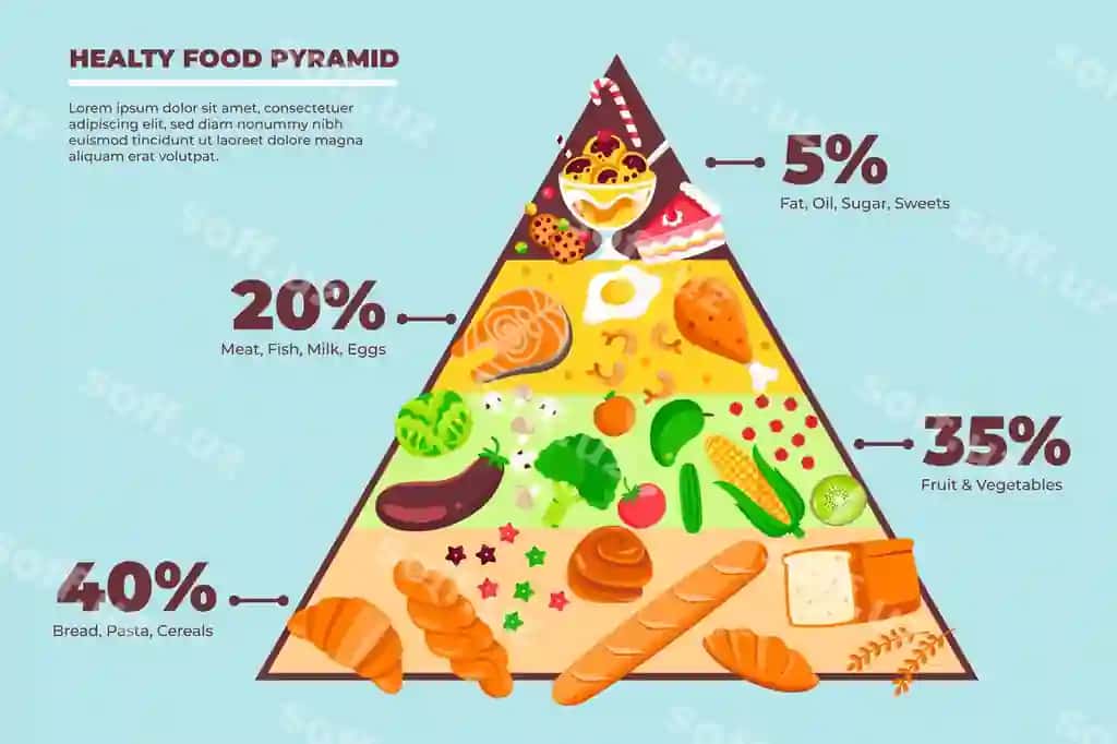 Ovqat piramidasi ovqatlanish konsepsiyasi | Food pyramid nutrition concept