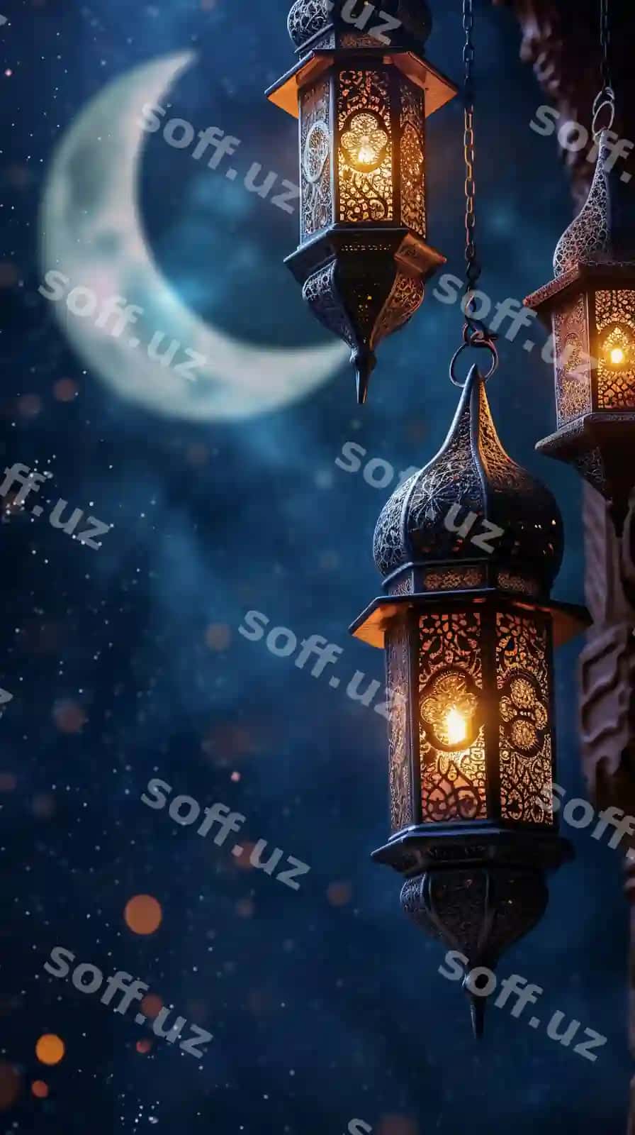 Fanoylar oyyor osmoni qarshi asib turgan, yulduzlar bilan to'ldirilgan. | Lanterns hanging against moonlit sky filled with stars