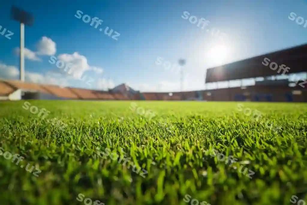 Yashil maida chizilgan futbol stadioni | Green grass soccer stadium