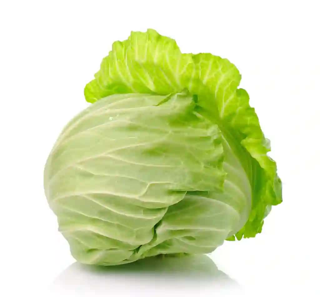 Hammayoqni izolyatsiya qilingan oq | Cabbage isolated white