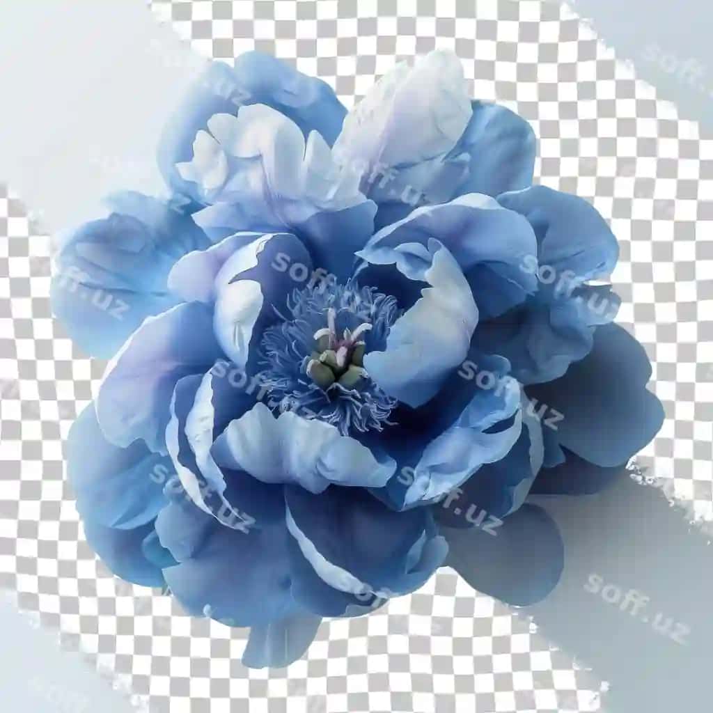 Ko'k gul oq gullar bilan | Blue flower with white flower it