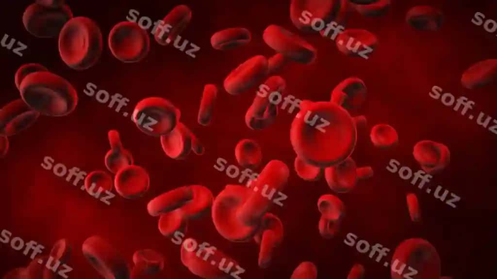 Mikroskop ko'rinishi qizil qon hujayralari tiriq jism 3D illustratsiyasi | View microscope blood red blood cells living body 3d illustration