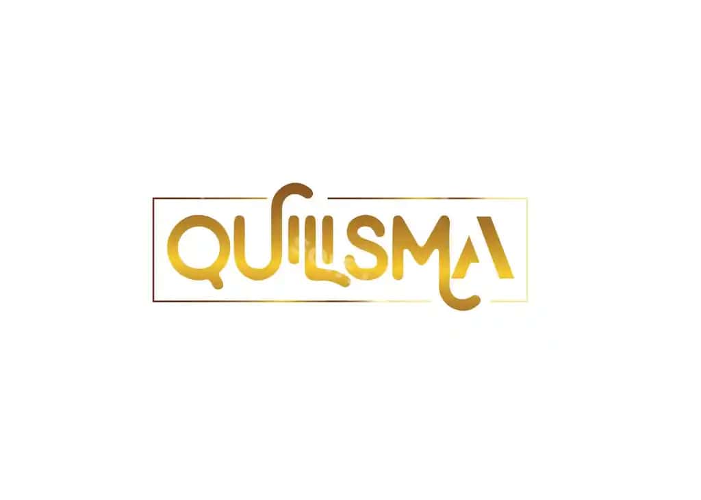 Zamonaviy kvilizma logotipi dizayni | Modern quilisma logo design