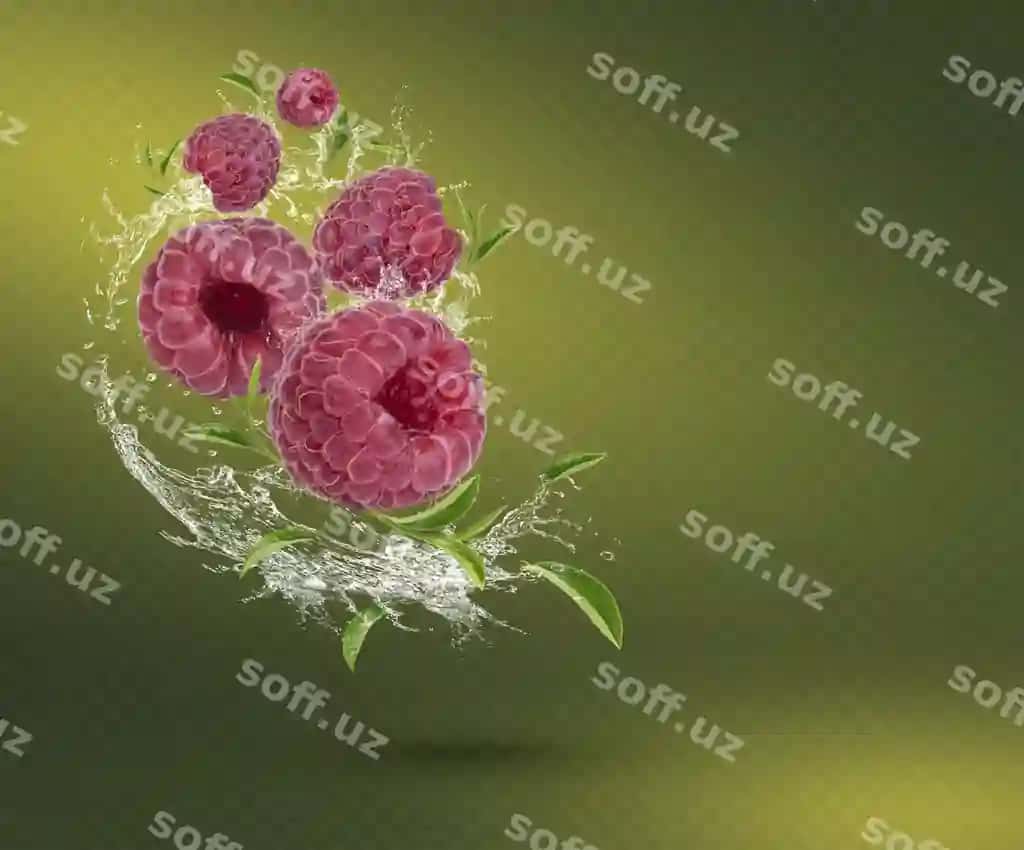 Suvoq splash taze marzepulya choy yaproqlari ajraltirilgan yashil fonda | Water splash fresh raspberry tea leaves isolated green background