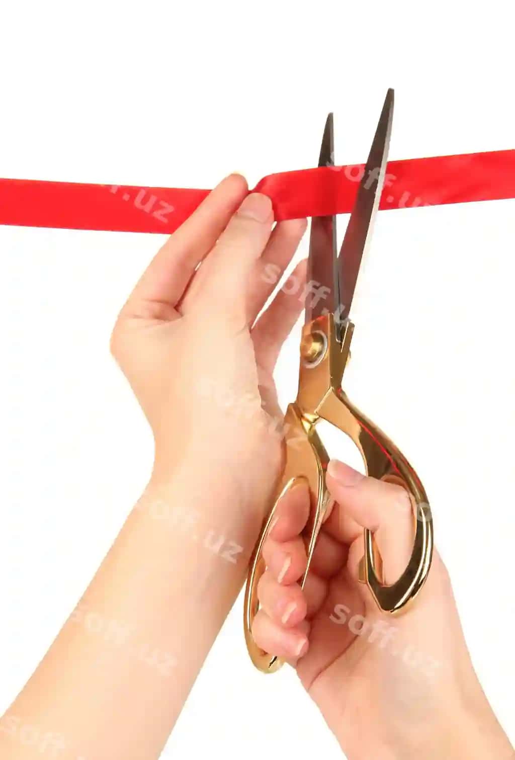Qizil lentni kesish, oq fonda ajraltirilgan | Cutting red ribbon isolated white