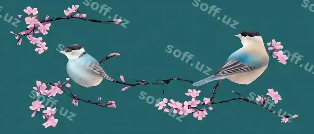 Qushlarni chizish, gullaydigan daraxt tillaqlari, vintaj skets, chiroyli qushlar | Drawing bird flowering tree branches vintage sketch beautiful birds