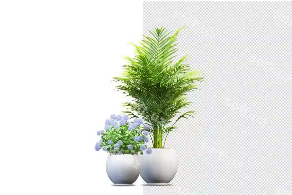 O'simliklar turli burchaklari sahna yaratuvchi | Plants various angles scene creator
