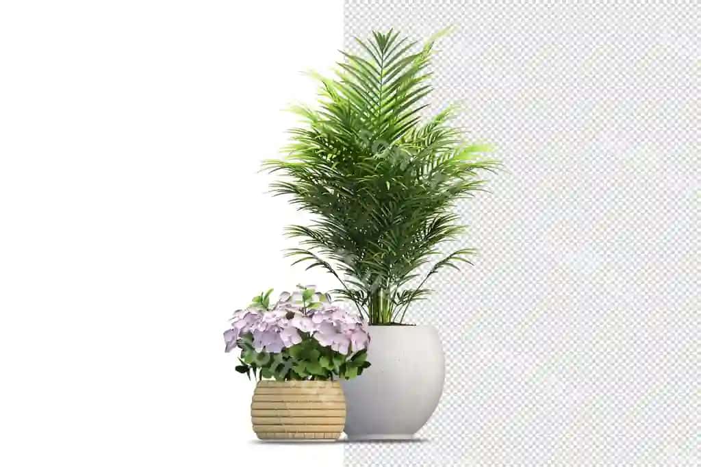 O'simliklar turli burchlarda sahna yaratuvchi | Plants various angles scene creator