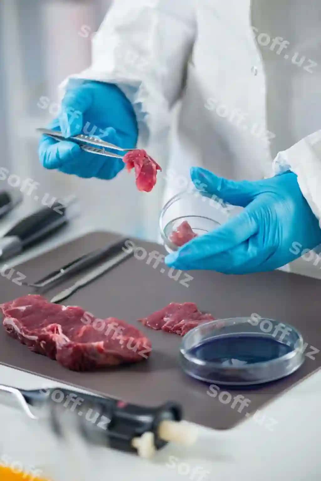 Ovqat xavfsizligi | Food safety
