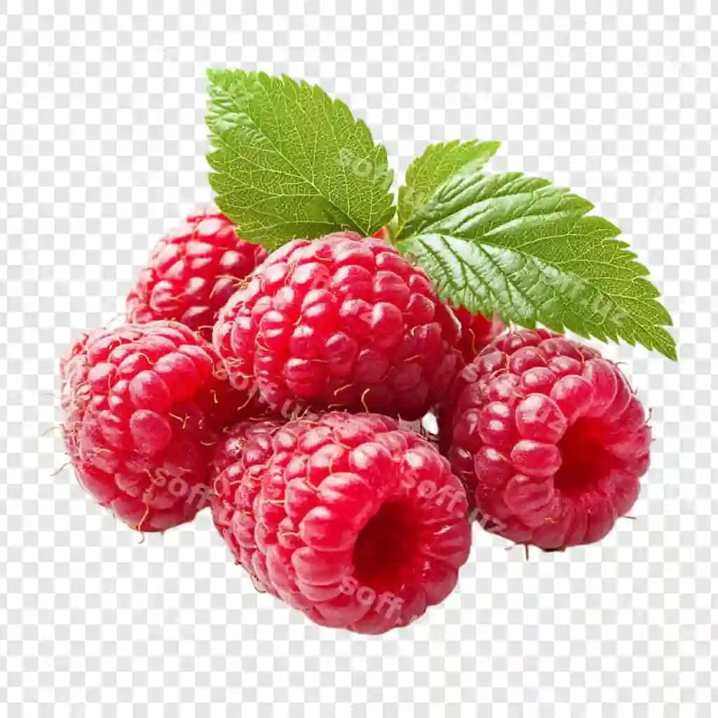 Yangi malinalar suvsiz qizil malinalar ovqat fotosurati yaqinlikda | Fresh raspberries juicy red berries close up food photography