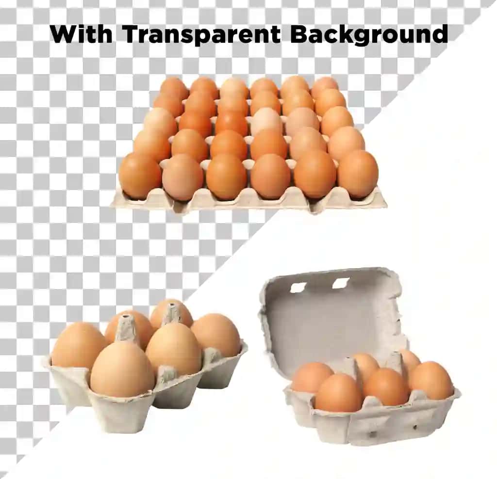 Tovuq tuxumlari shaffof fonda ajratilgan | Chicken eggs isolated transparent background