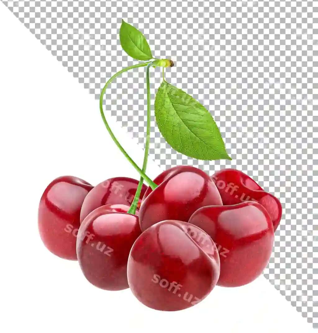 Olcha ajraltirilgan oq fonda | Cherry isolated white background