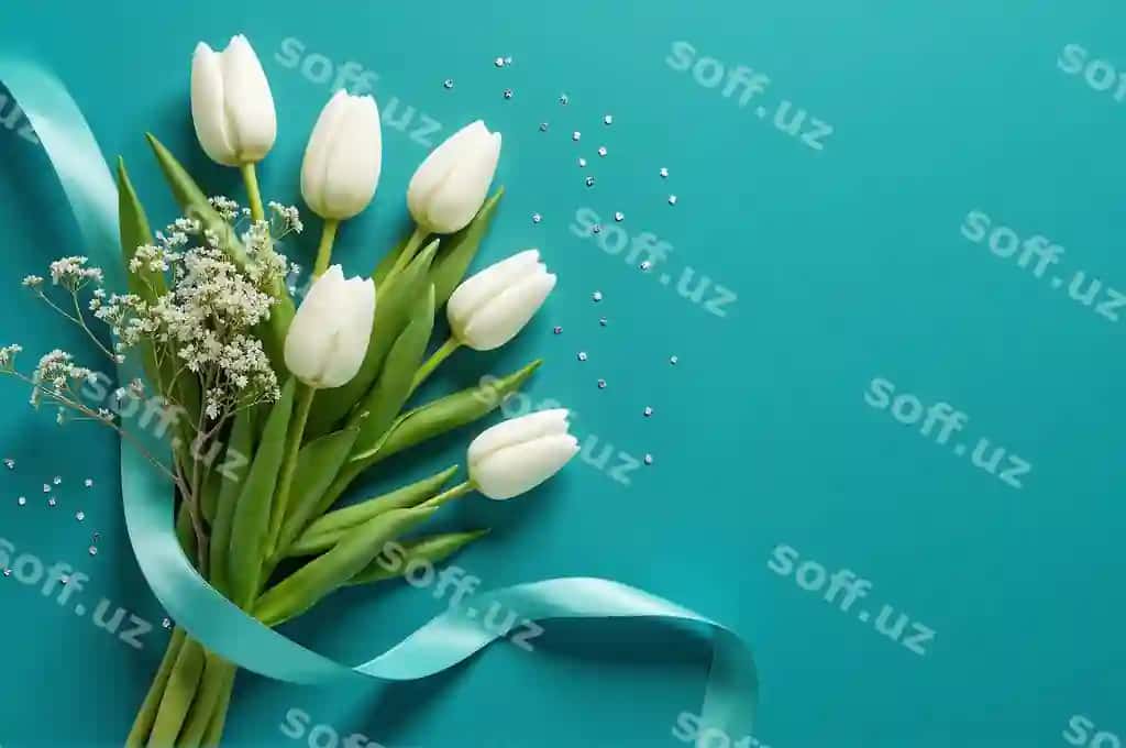 Oq lola gul dasturi | White tulips bouquet