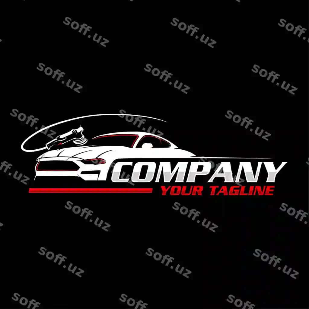 Avtomobil detallash logotipi avtomobil yuvish logotipi | Detailing car logo car wash logo