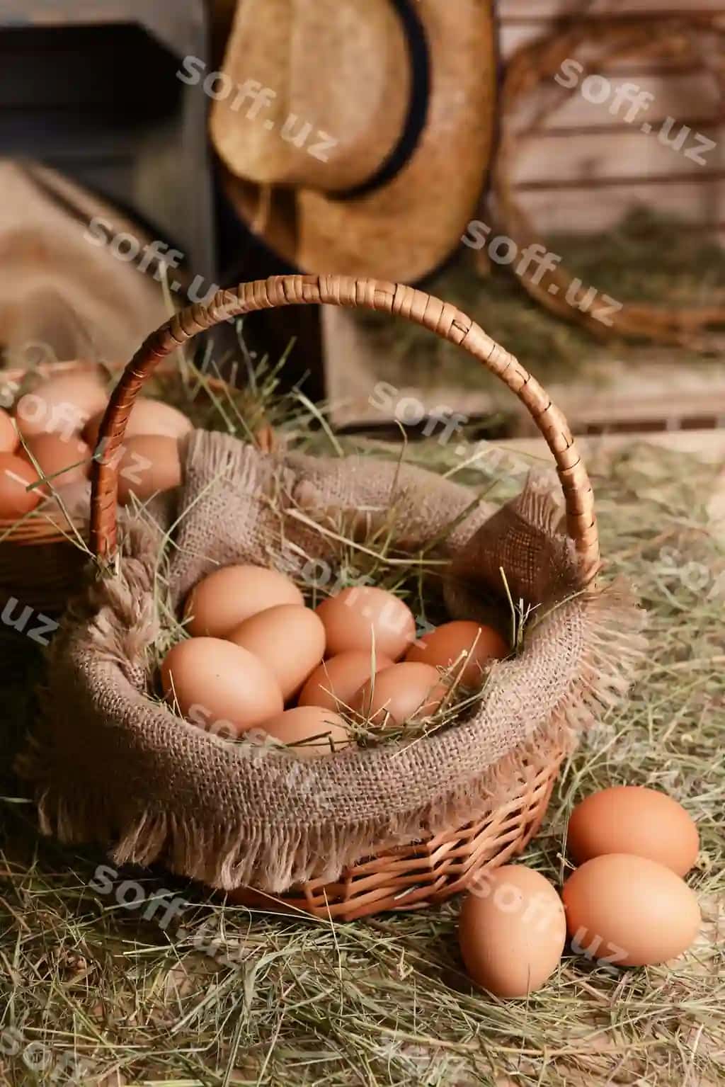 Tuxumlar jipdan qutcha stol yaxshi ko'rinish | Eggs wicker basket table close up