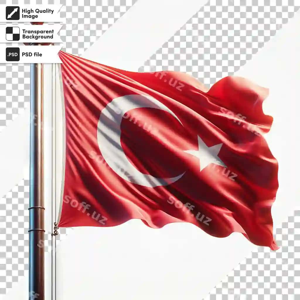 Piyolada rasm va "no" so'zi bilan bayroq | Flag that is pole with picture flag that saysno