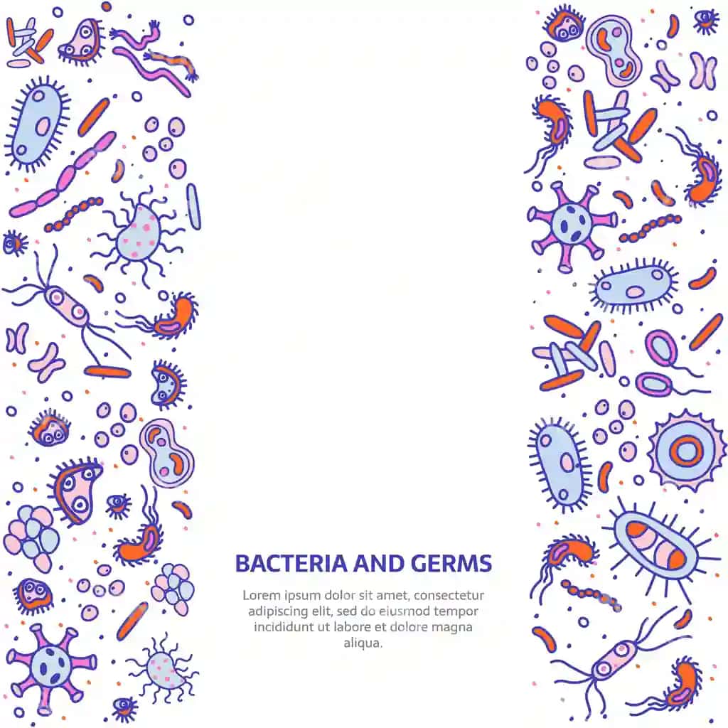 Bakteriyalar banner kvadrati | Bacteria banner square