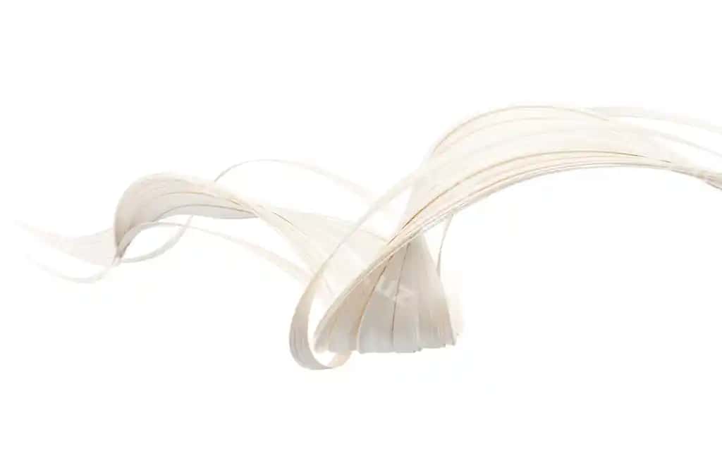 Sirpanuvchi egimli geometriya chiziqlari 3D render | Flowing curve geometry lines 3d rendering
