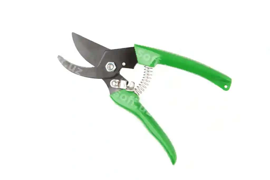 Yashil bog' qisqartgichi ajraltirilgan oq fonda | Green garden secateurs isolated white background
