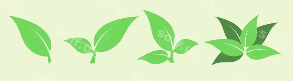 Vektor yashil varaq organik bio logotip tabiiy eko mahsulotlar kosmetik | Vector green leaves organic bio logo natural eco products cosmetic