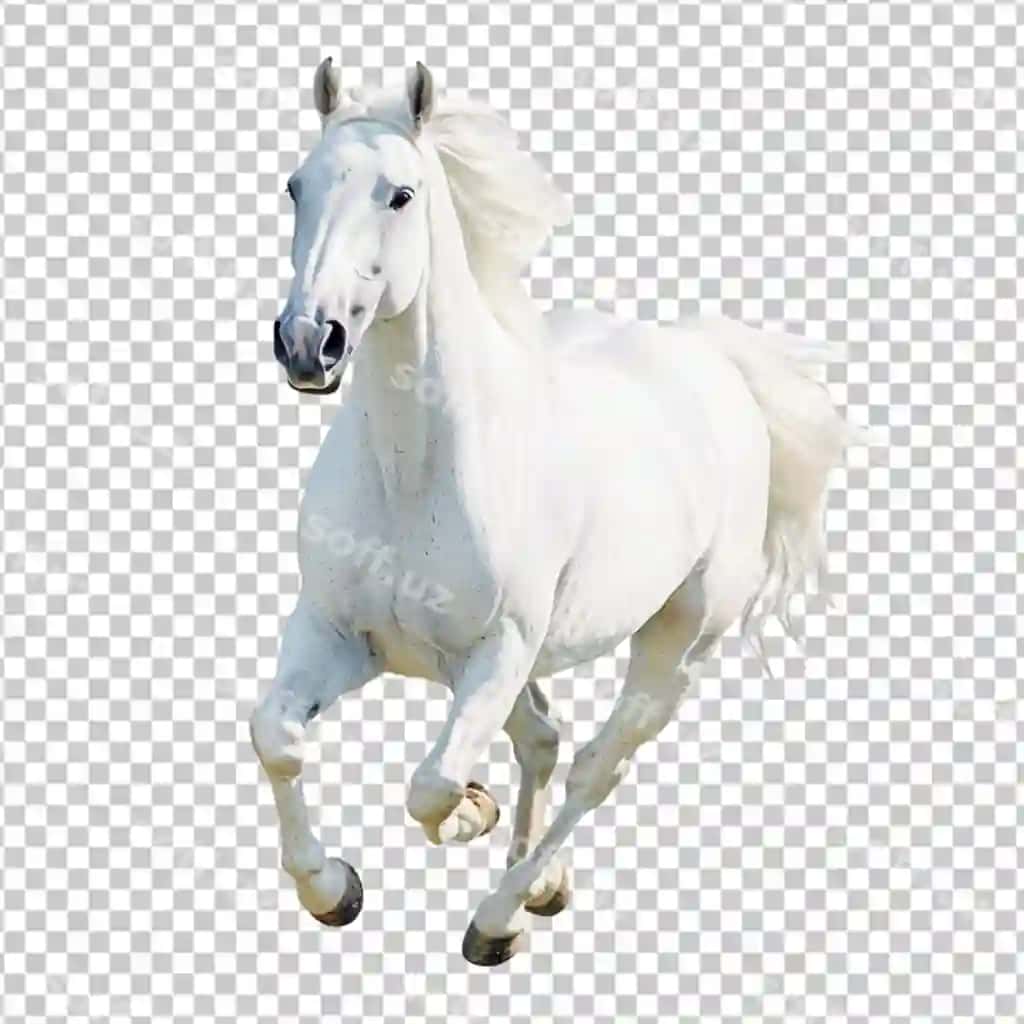 Jigarrang at multfil'm shaxsiyati | Brown horse cartoon character