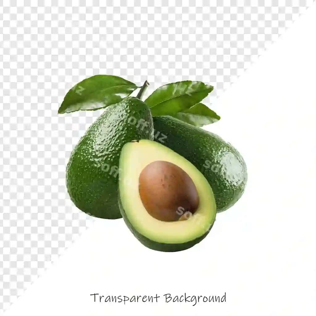 Avokadoni oʻylivchi soʻzlar bilan tasvirlang | Picture avocado with words contemplative it