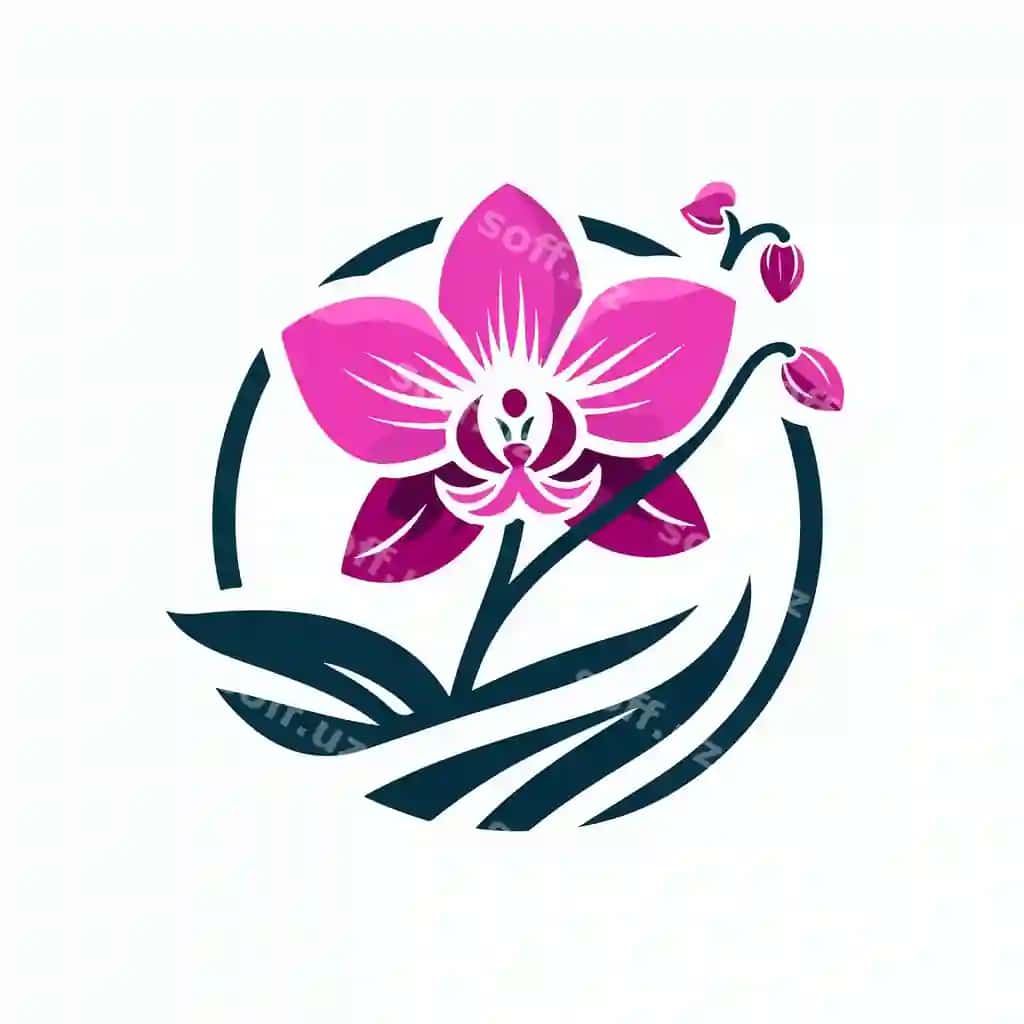 Orxida logotip illustratsiyasi | Orchid logo illustration