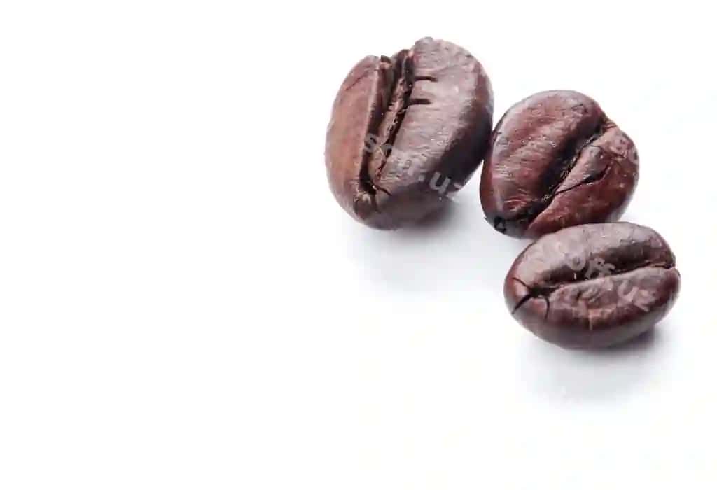 Qahvo urug'lari ajraltirilgan oq yuz | Coffee beans isolated white surface