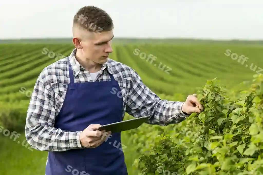 Erkak ferma plansheti bilan tomon ko'rinish | Side view man farm with tablet