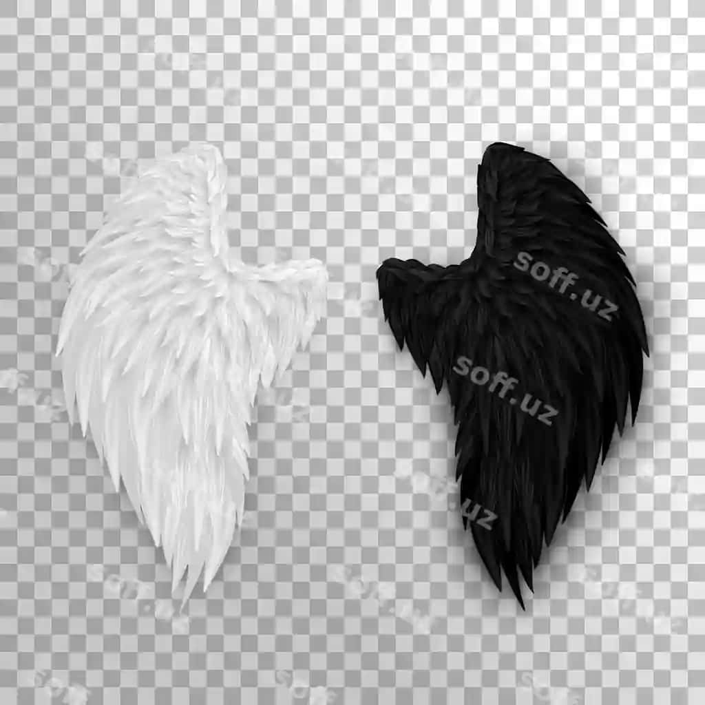 3D oq farishta qanoti qorong'u shayton demon qanoti ikkita realistik yarim qanot | 3d white angel wing dark devil daemon wing two realistic half wings