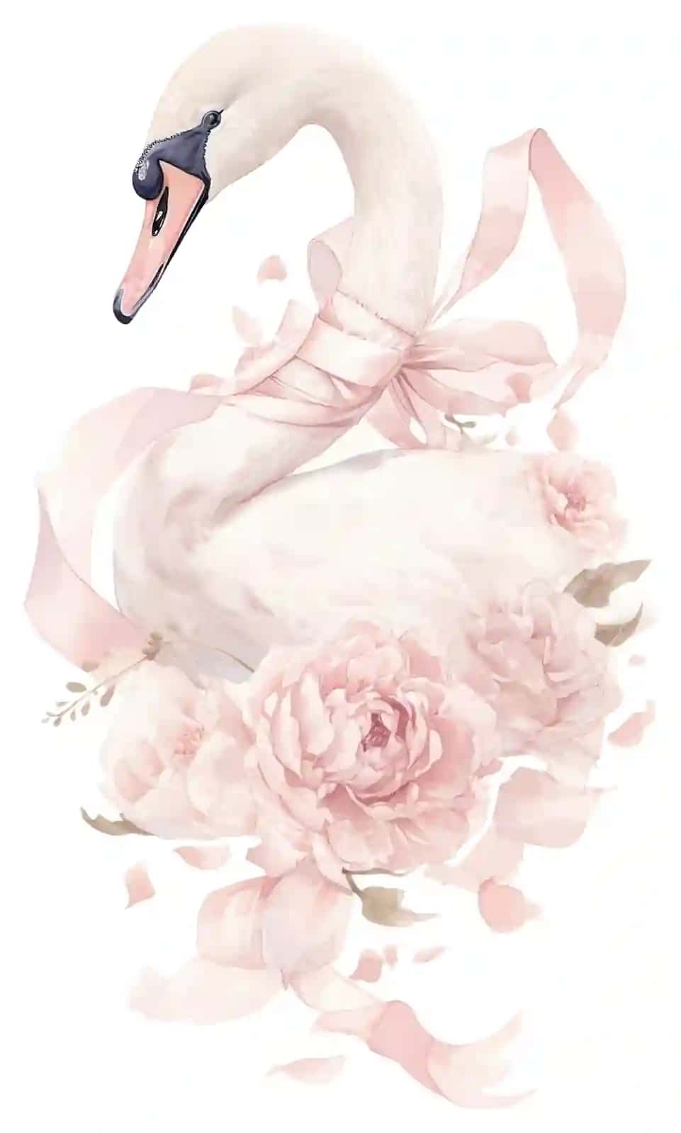Png koketka oqqush to'y gulli hayvon | Png coquette swan wedding blossom animal