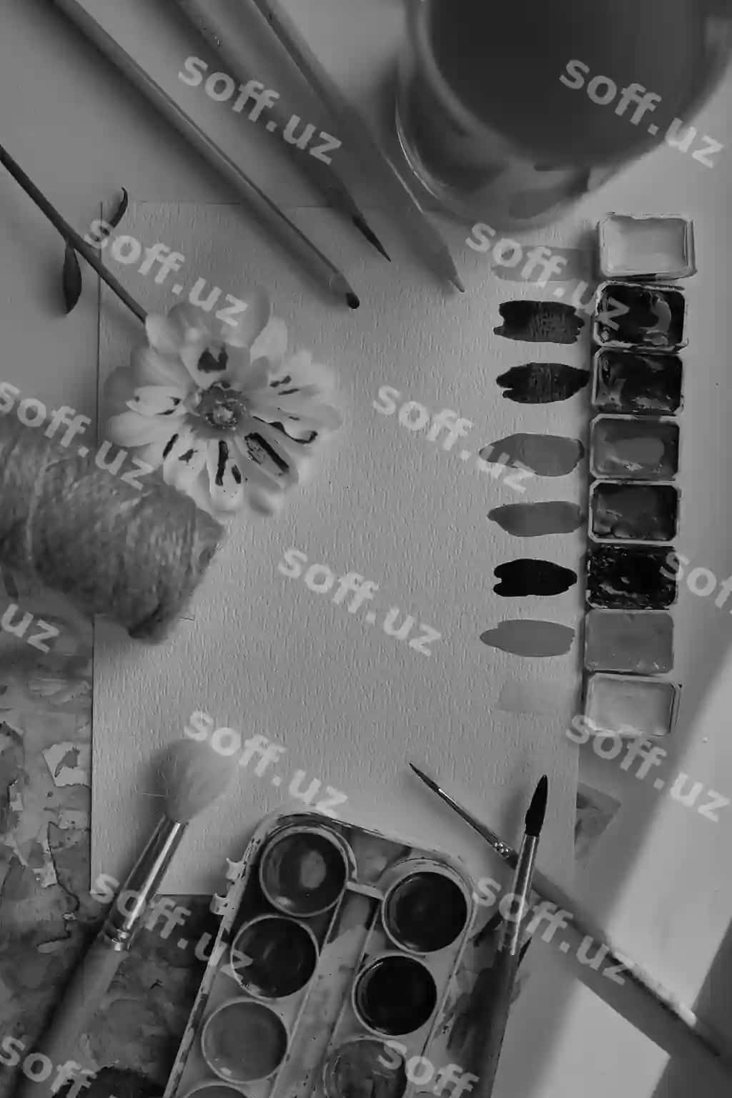 Kompositsiya san'at materiallaridan, suvarli boyashlar, ko'plab rangli boyashlar, qora va oq fotosurat | Composition from art materials watercolor paints multicolored paintsblack white photo