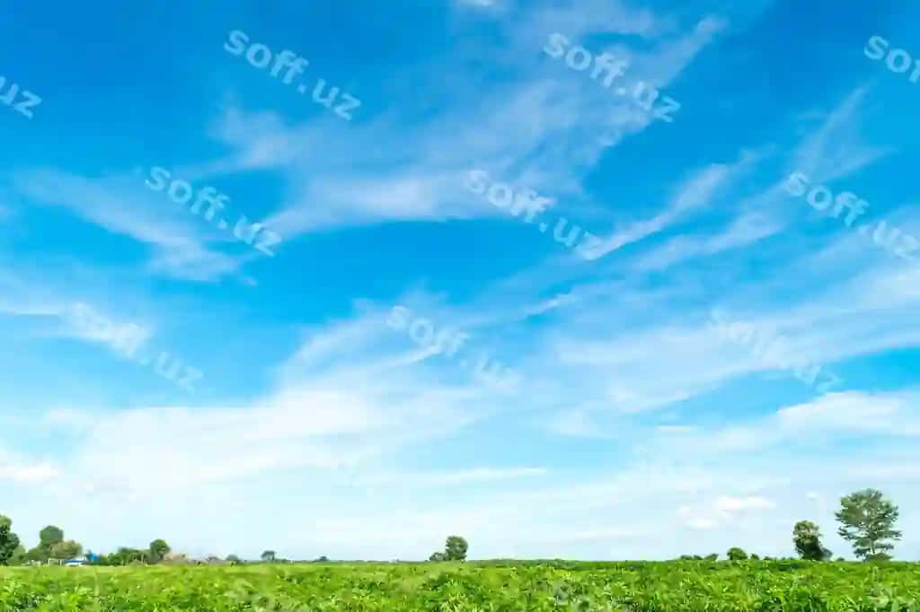 Chiroyli maydon osmondan | Scenic view field against sky