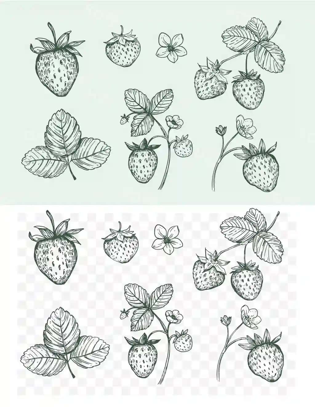 Terror shofyorlarining qo'l bilan chizilgan skechlar vektor illustratsiyasi shaffof | Set strawberry berries hand drawn sketches vector illustration transparent