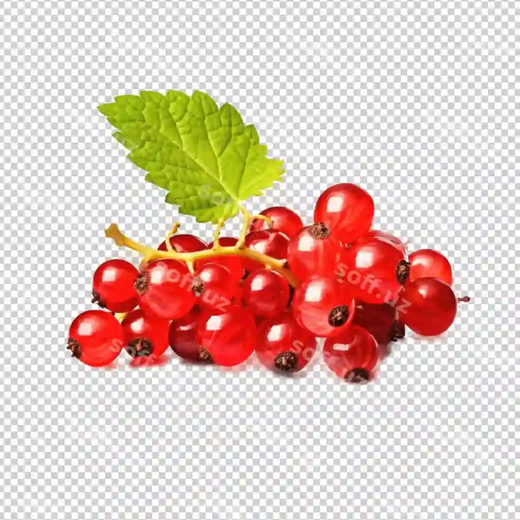 Psd guruchiq ajraltirilgan shaffof fonda HD png | Psd currant isolated transparent background hd png