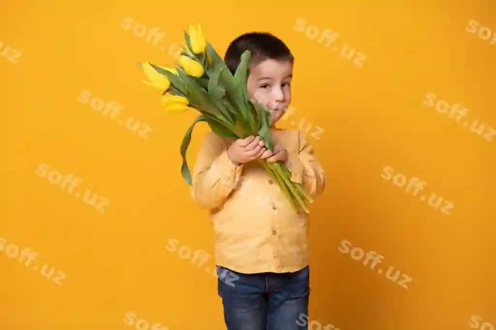 Gulbishik kichik o'g'il bola sariq studiya orqa fonda baxtli baxmalar bola lola gullari to'plami bilan | Smiling little boy yellow studio background cheerful happy child with tulips flower bouquet
