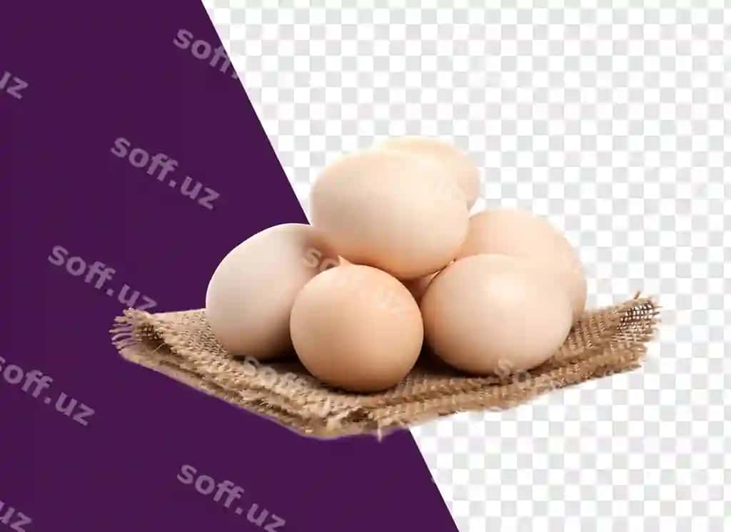 Qutiqdagi oq tuxumlar ajraltirilgan | Basket eggs isolated white