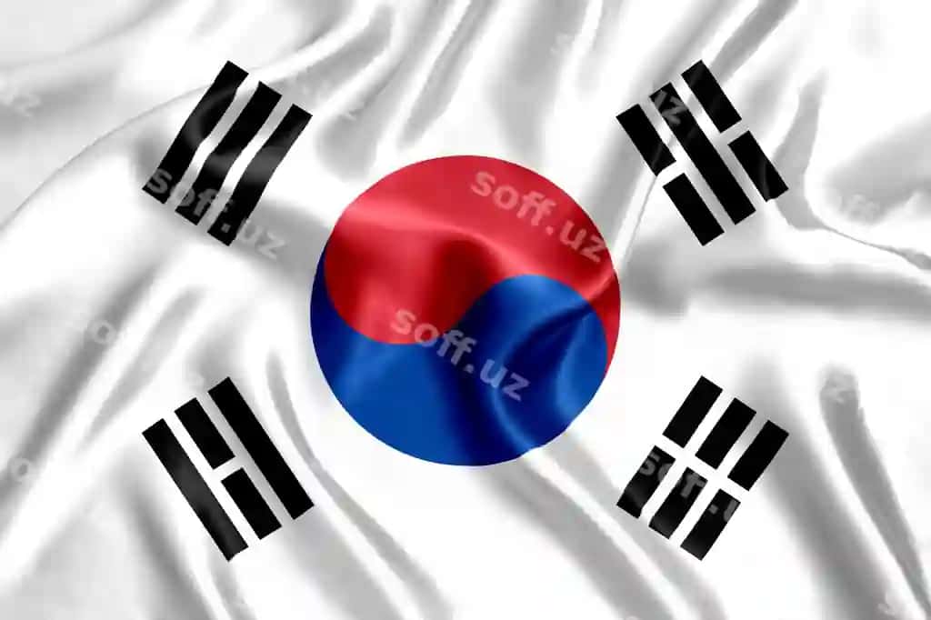 Janubiy Koreya bayrog'i ipak detallari | Flag south korea silk close up