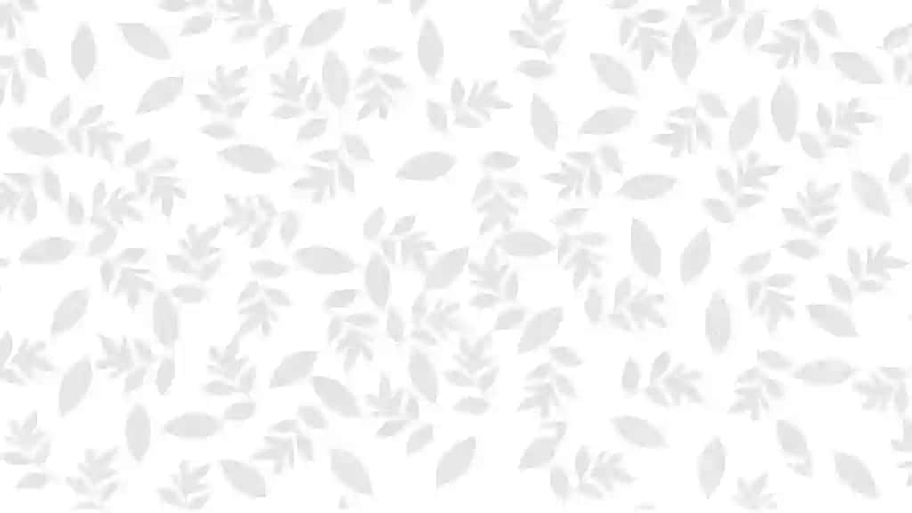 Oq fon bir nechta gul yaproq bilan | White background with multiple flower leaf