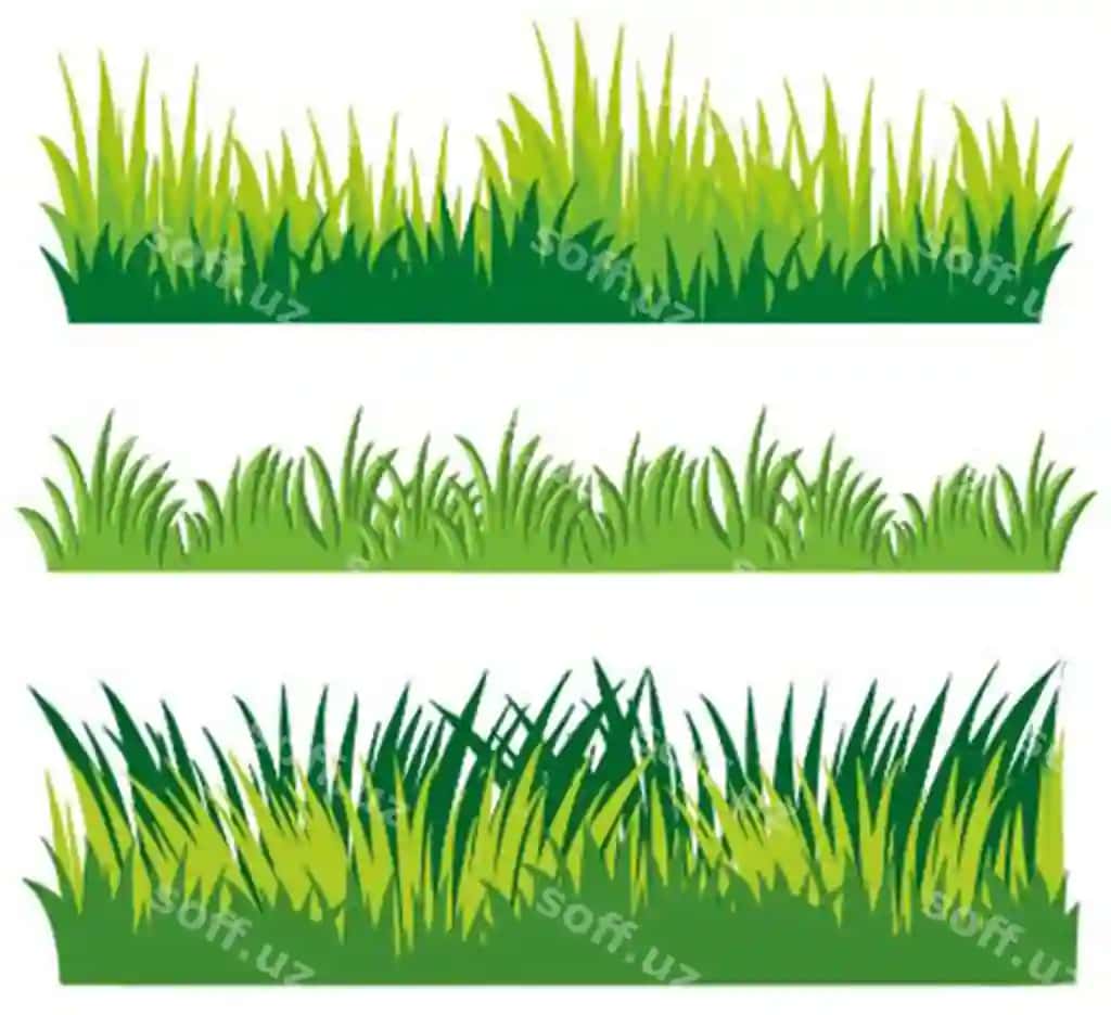 Yashil chaman vektor illustratsiyasi tashqi dizaynlari | Green grass vector illustration outdoor designs