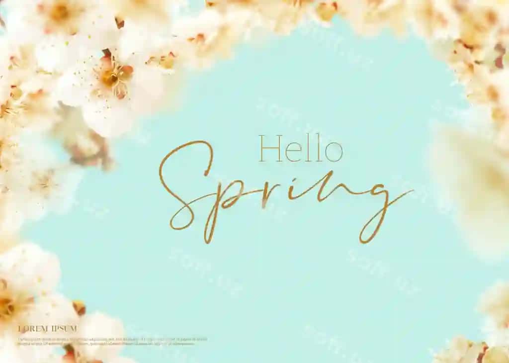 Go'zal bahor gullari kartochka fasl mavzusi salom bahor | Beautiful spring flowers card season theme hello spring