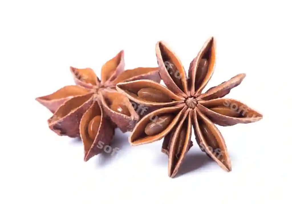 Anis ajratilgan | Anise isolated