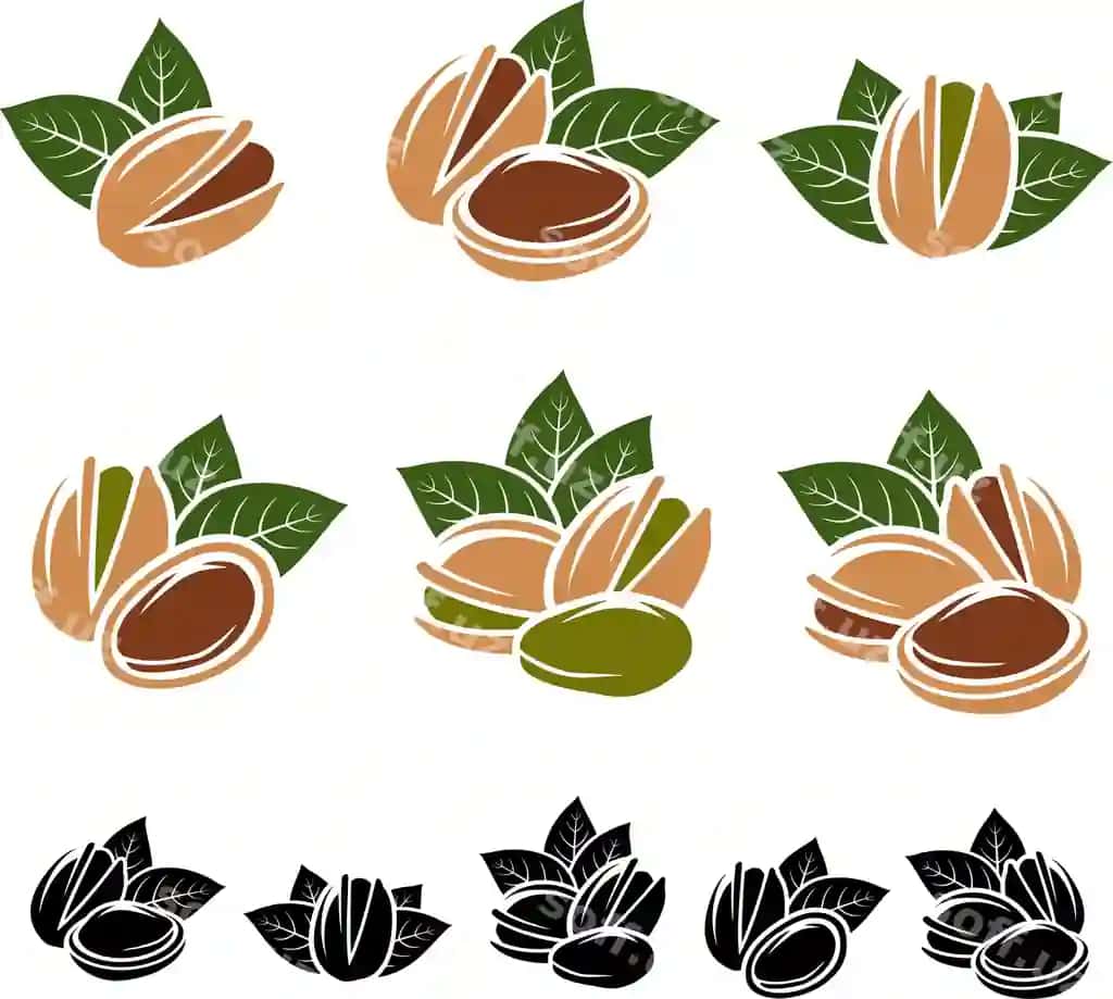 Fistik urug'lari komplekt vektori | Pistachio nuts set vector
