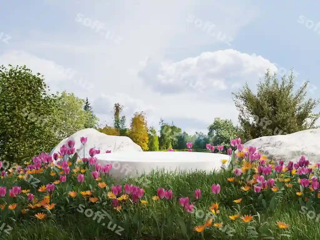 Oq podium maydon gullari mahsulot taqdimoti osmon ko'rinishidir. | White podium field flowers product presentation is view sky
