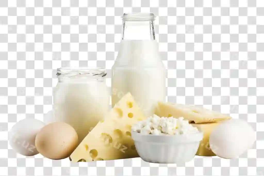 Yangi sut mahsulotlari tuxumlar | Fresh dairy products eggs