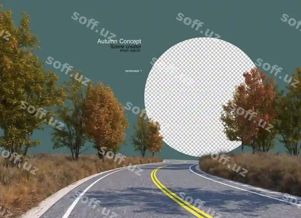 Yo'llar o'rmonlar o'tgan kuz | Roads through forests autumn