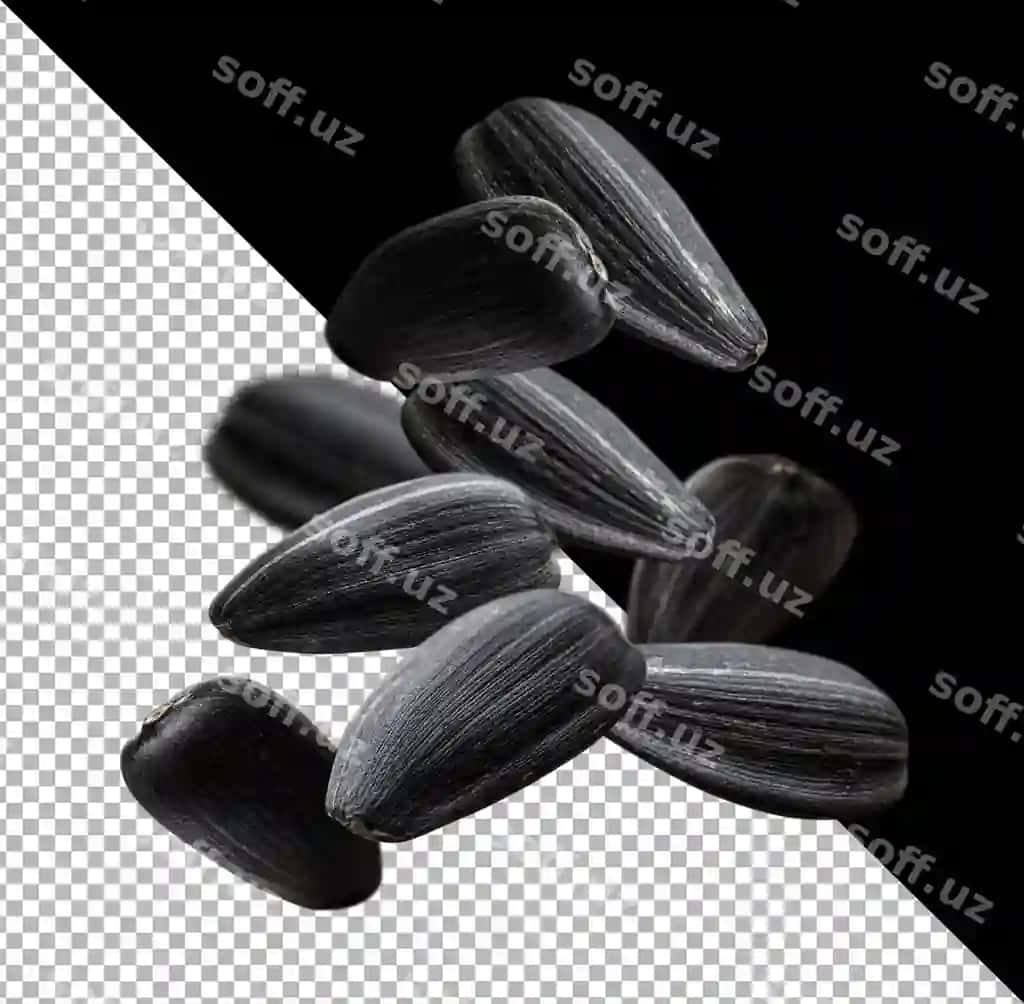 Tushmoqda qora qovoq urug'lari ajraltirilgan va kesish yo'nalishi bilan | Falling black sunflower seeds isolated with clipping path
