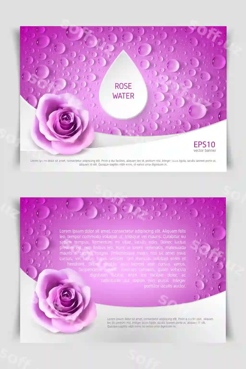 Ikki to'g'ri to'rtburchak horizontal flyerlar haqiqiy gulari va damaklar shabloni bilan | Two rectangular horizontal flyers with realistic roses drops template