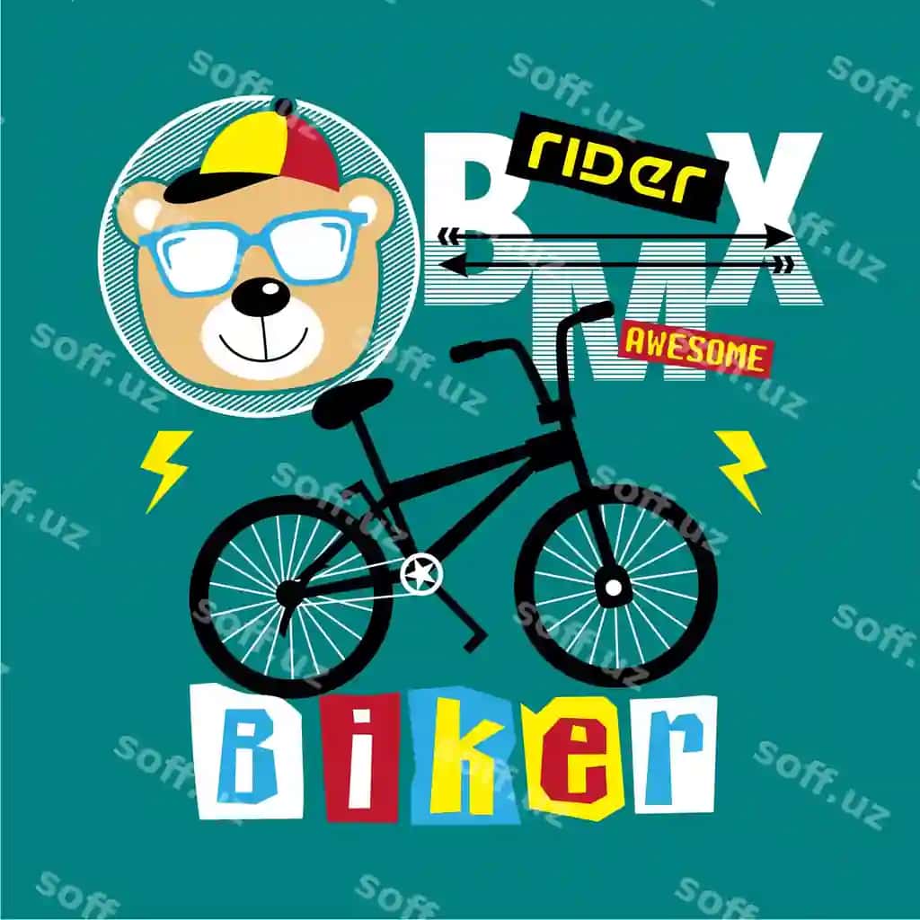 BMX reyderi | Bmx rider