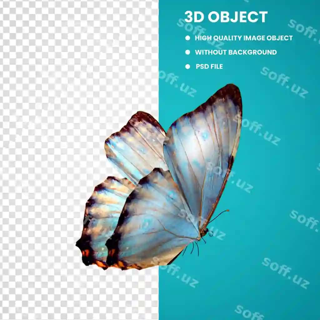 Chimildik qizil go'zallik chimildik hasharot ikonka | Butterfly red beauty butterfly insect icon